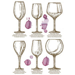 Cheers Transfer by IOD
