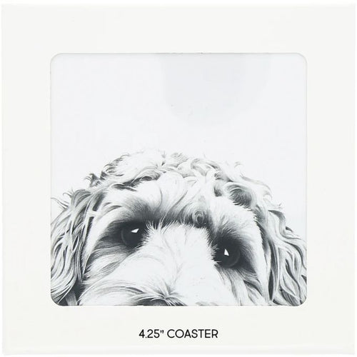 Dog Coaster