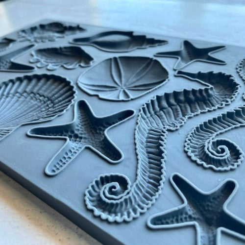 Seashell Mould by IOD