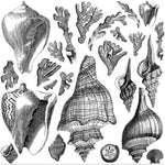 Seashore Stamp by IOD