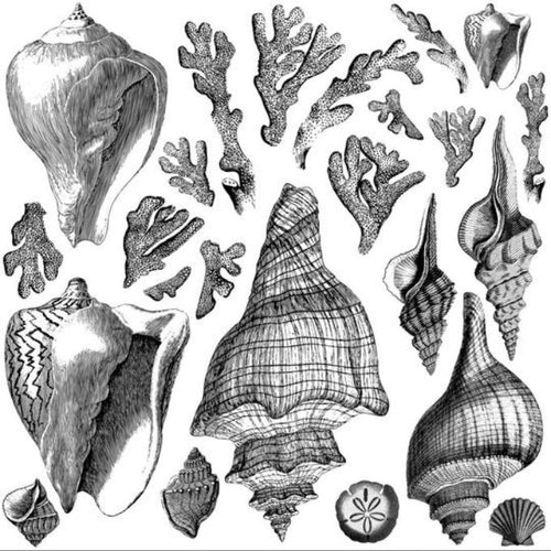 Seashore Stamp by IOD