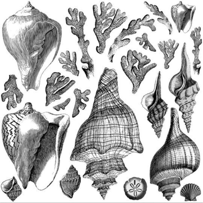Seashore Stamp by IOD