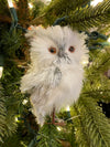 White and Gray Snowy Owl