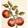 Fruitful Harvest Stamp by IOD