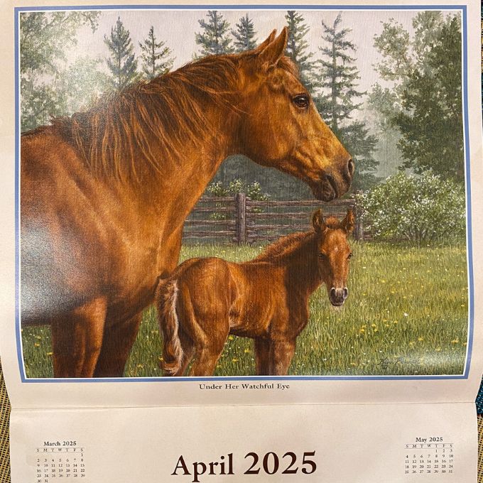 2025 Hoofbeats Calendar by Kim Penner