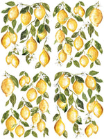 Lemon Drops Transfer Pad by IOD