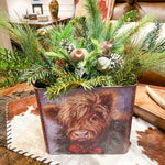 Walnut and Pinecone Mix Spray