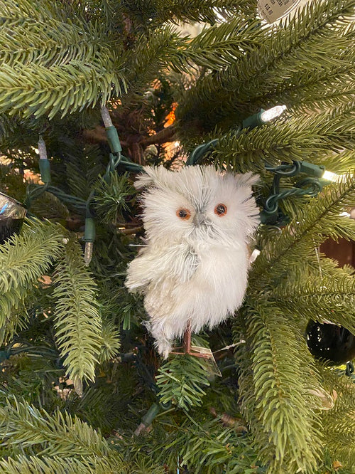 White and Gray Snowy Owl
