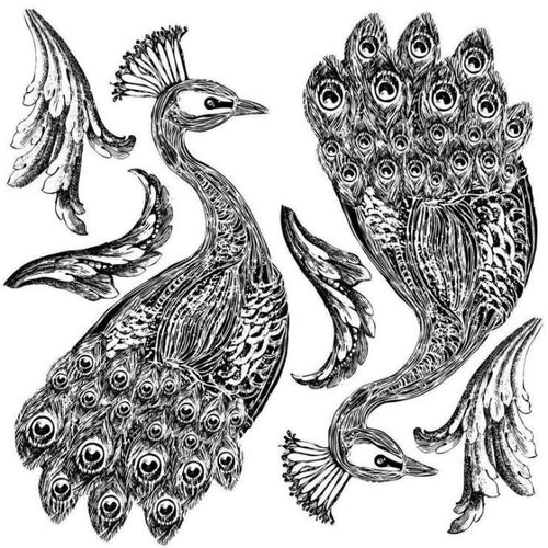 Pavo Decor Stamp by IOD