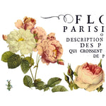 Flora Parisiensis Transfer Pad by IOD