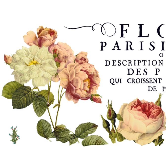 Flora Parisiensis Transfer Pad by IOD