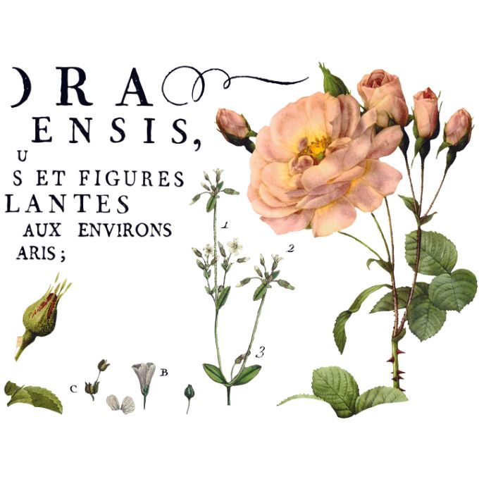 Flora Parisiensis Transfer Pad by IOD
