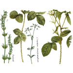 Flora Parisiensis Transfer Pad by IOD