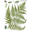 Fronds Botanical Transfer by IOD