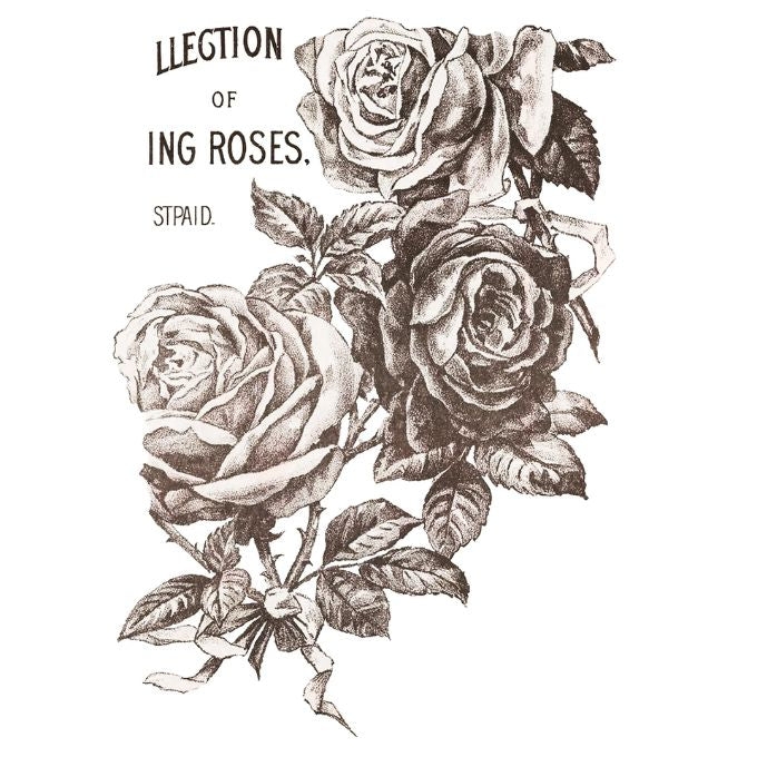 May's Roses Transfer Pad by IOD