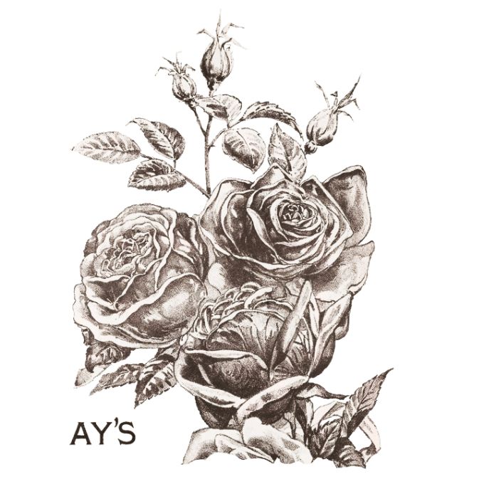 May's Roses Transfer Pad by IOD