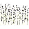 Painterly Floral Transfer Pad by IOD