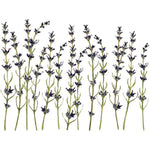 Painterly Floral Transfer Pad by IOD