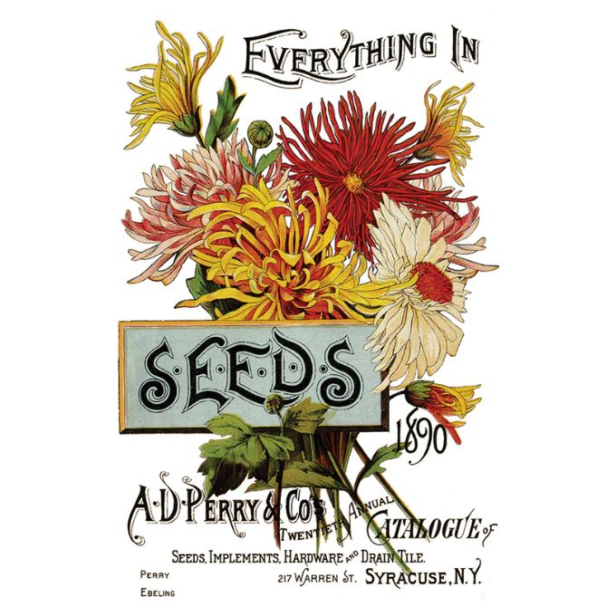 Seed Catalogue Transfer Pad by IOD