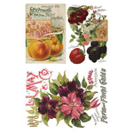 Seed Catalogue Transfer Pad by IOD