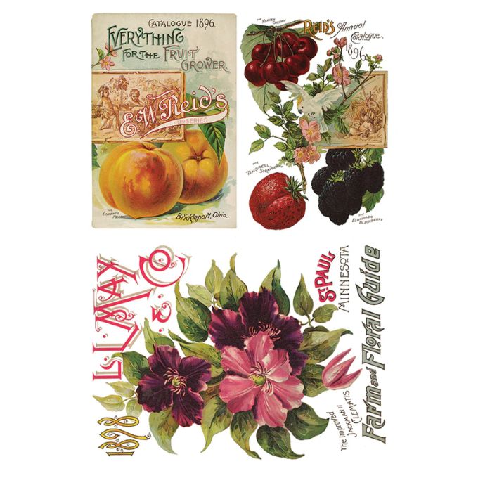 Seed Catalogue Transfer Pad by IOD