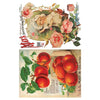 Seed Catalogue Transfer Pad by IOD