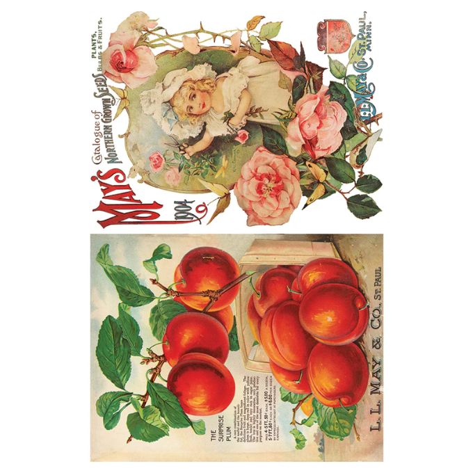 Seed Catalogue Transfer Pad by IOD