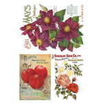 Seed Catalogue Transfer Pad by IOD