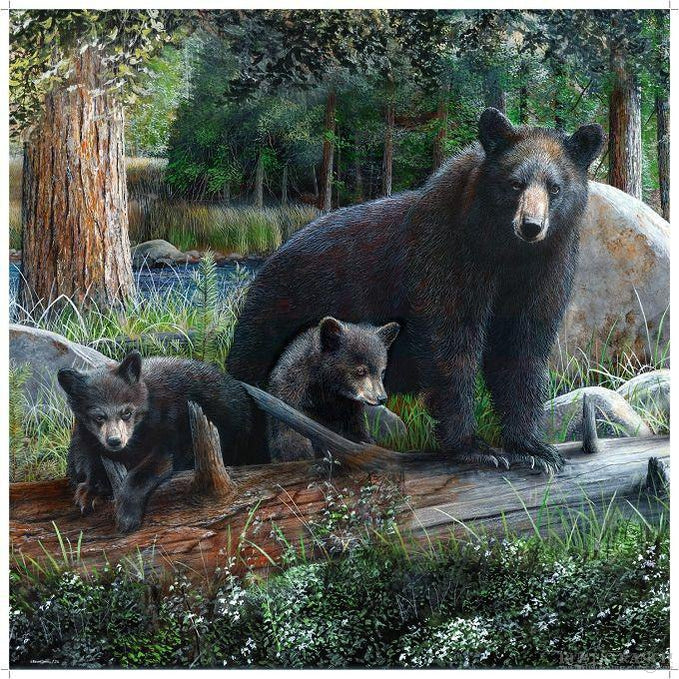 Bear Family Shower Curtain-Rustic Ranch