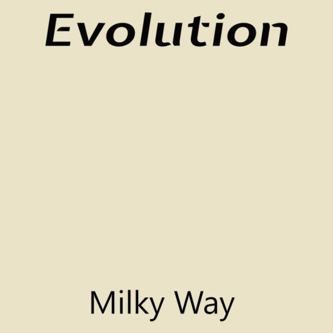 Milky Way Evolution