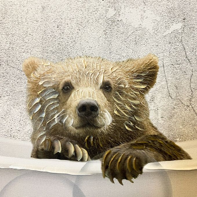 Baby Bear Bath Print available at Rustic Ranch Furniture in Airdrie, Alberta