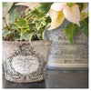 Merry & Bright Stamp by IOD