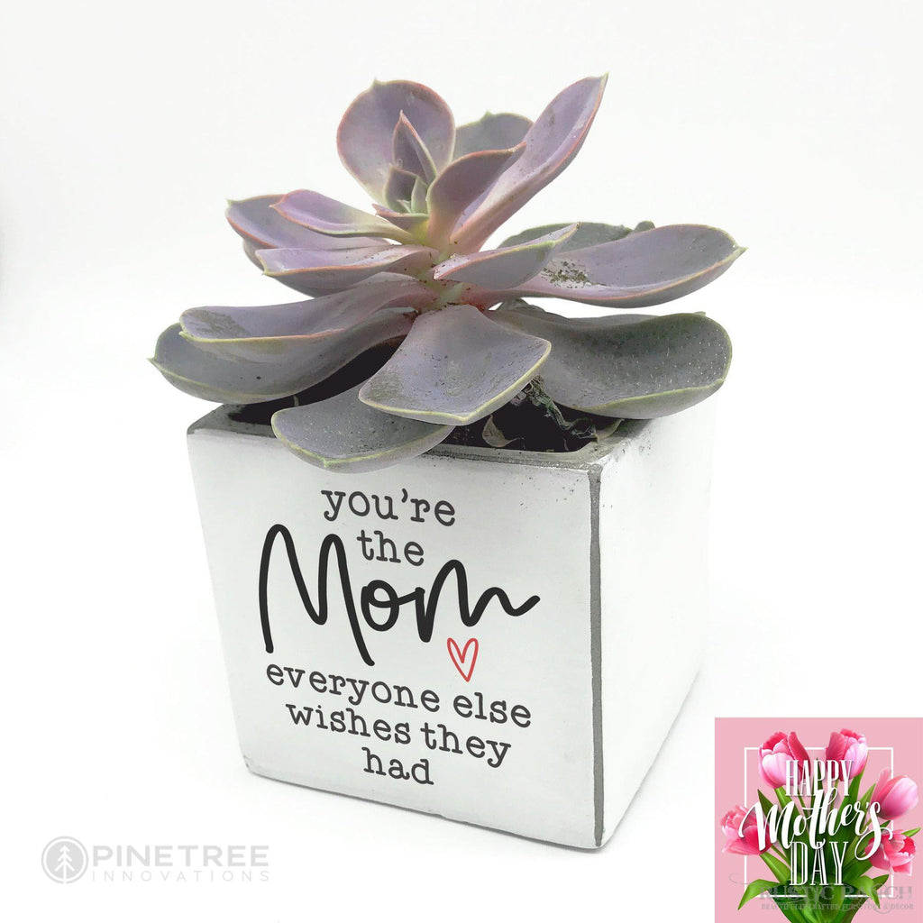 YOU'RE THE MOM 3X3 PLANTER-Rustic Ranch