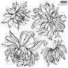 Chrysanthemums Stamp by IOD